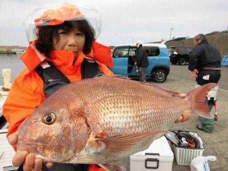 大進丸（新潟） 釣果