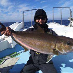 海晴丸 釣果