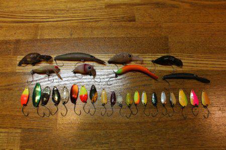 小菅トラウトガーデン 釣果