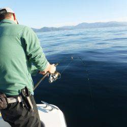 BlueNote Fishing Taxi 釣果