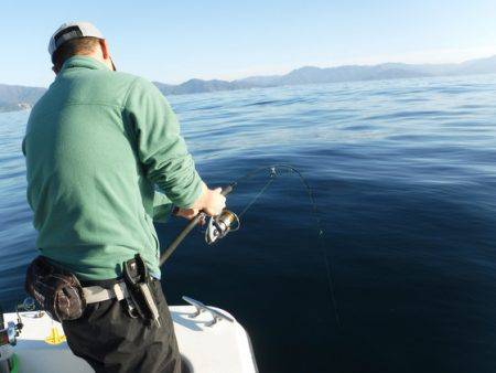 BlueNote Fishing Taxi 釣果