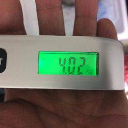 BlueOcean(ブルーオーシャン) 釣果