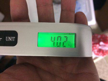 BlueOcean(ブルーオーシャン) 釣果