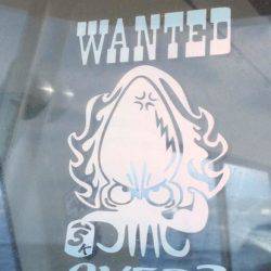 BlueOcean(ブルーオーシャン) 釣果