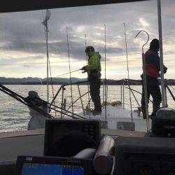 BlueOcean(ブルーオーシャン) 釣果