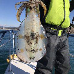 BlueOcean(ブルーオーシャン) 釣果