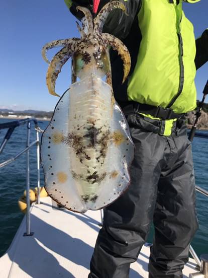 BlueOcean(ブルーオーシャン) 釣果