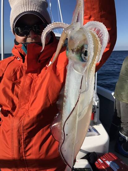 BlueOcean（ブルーオーシャン） 釣…