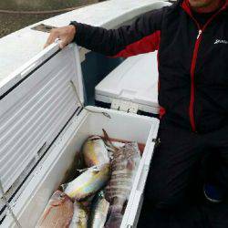 第五慶門丸 釣果