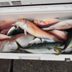 大進丸（新潟） 釣果