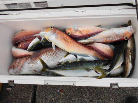 大進丸（新潟） 釣果