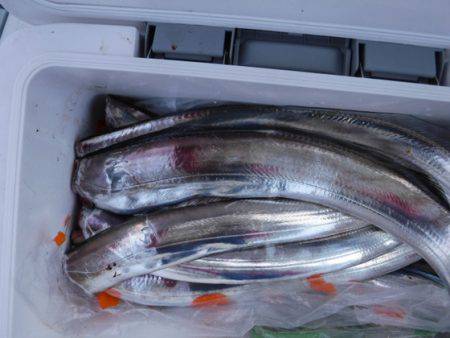 遊漁船 幸友丸 釣果