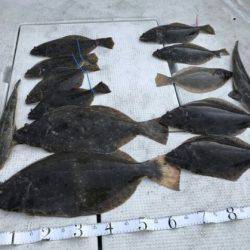 フィッシングガイド りょう 釣果