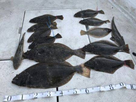 フィッシングガイド りょう 釣果