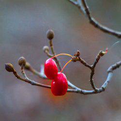 小菅トラウトガーデン 釣果