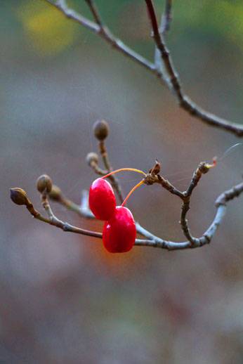 小菅トラウトガーデン 釣果