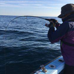 松鶴丸 釣果
