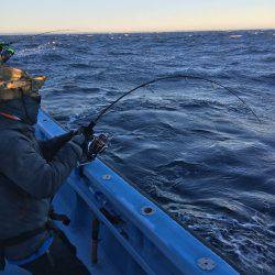 松鶴丸 釣果