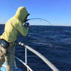 松鶴丸 釣果