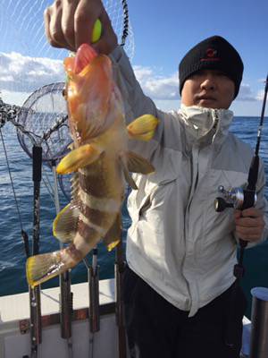 シーモンキー 釣果