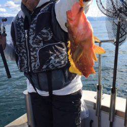 シーモンキー 釣果