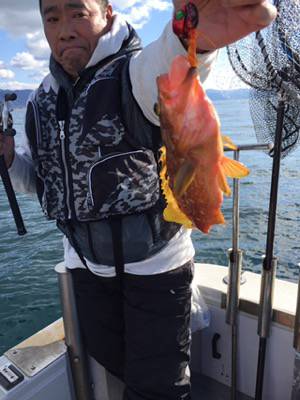 シーモンキー 釣果