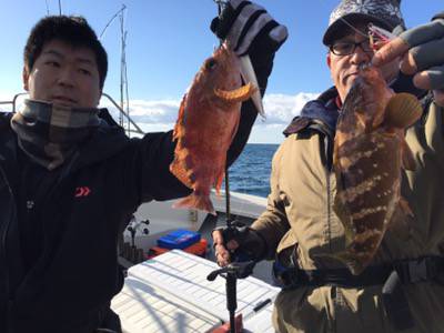 シーモンキー 釣果