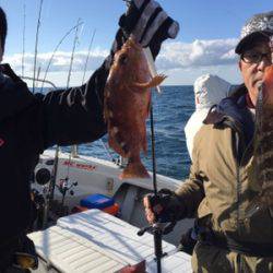 シーモンキー 釣果