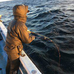 松鶴丸 釣果