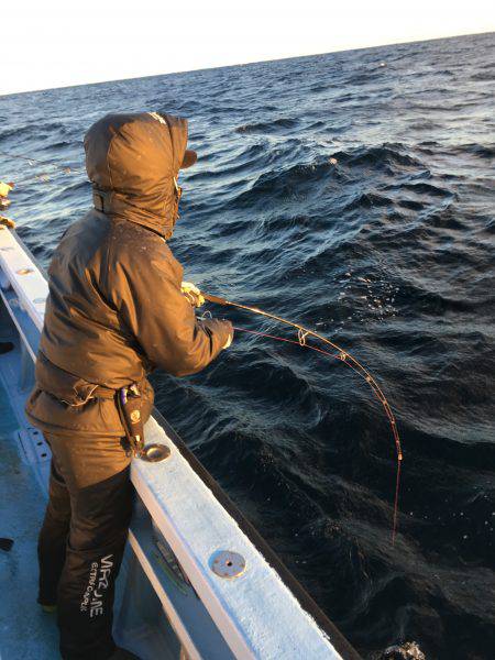 松鶴丸 釣果
