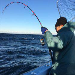 松鶴丸 釣果