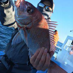 松鶴丸 釣果