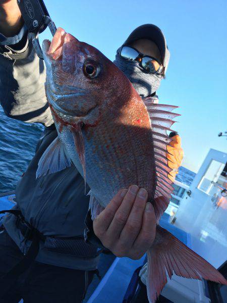 松鶴丸 釣果