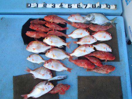 清和丸 釣果