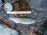 秩父フライフィールド 釣果