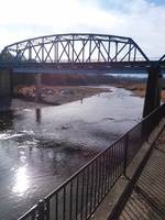 秩父フライフィールド 釣果