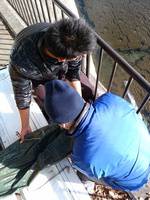 秩父フライフィールド 釣果