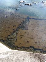 秩父フライフィールド 釣果