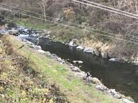 秩父フライフィールド 釣果