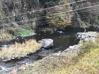 秩父フライフィールド 釣果