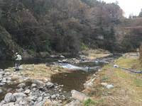 秩父フライフィールド 釣果