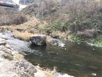 秩父フライフィールド 釣果