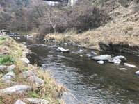 秩父フライフィールド 釣果