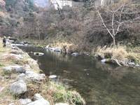 秩父フライフィールド 釣果