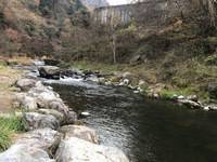 秩父フライフィールド 釣果