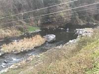 秩父フライフィールド 釣果