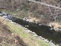 秩父フライフィールド 釣果