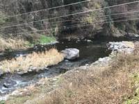 秩父フライフィールド 釣果