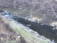 秩父フライフィールド 釣果