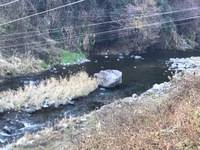 秩父フライフィールド 釣果